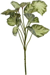 Zijde "Begonia Rex Stem" groen/wit 45cm