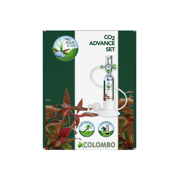 Colombo CO2 set advance 95 gram
