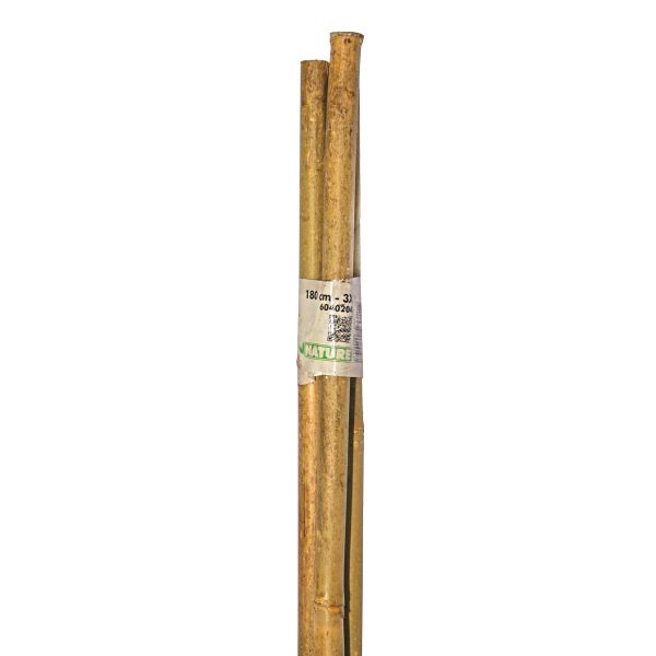 Bamboestokken 3 Stuks L180 cm