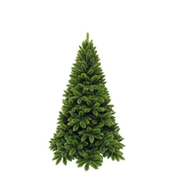 Kerstboom Tsuga groen H185 D109