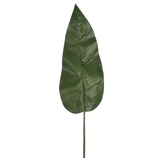 Philodendron Blad groen L97
