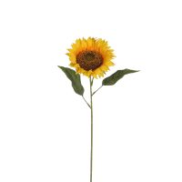 Sunflower yellow L70