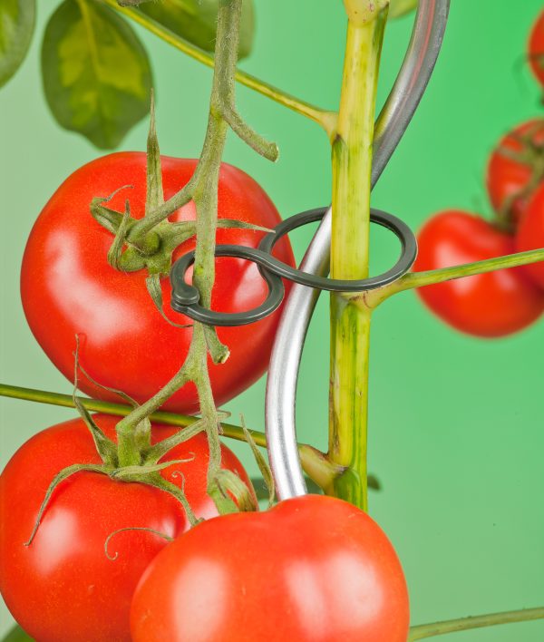 Tomatenplantringen 25 stuks 30/20mm