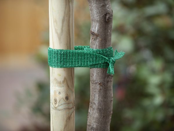 Uni Boomband groen 4cmx2m