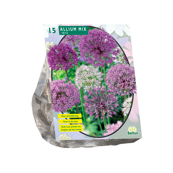 Allium Mix Paars-Wit per 15